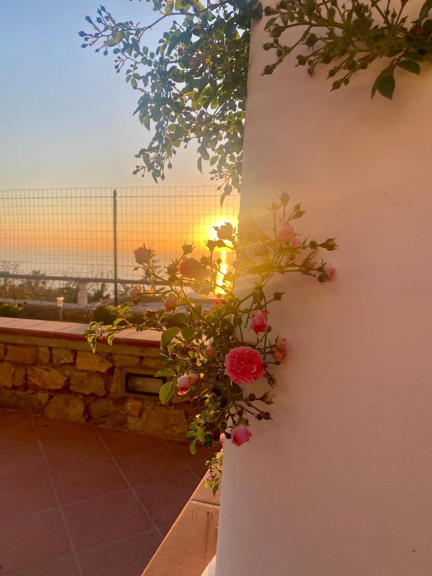 B&B La Ciammurrella Anacapri (Isola di Capri) Exterior foto